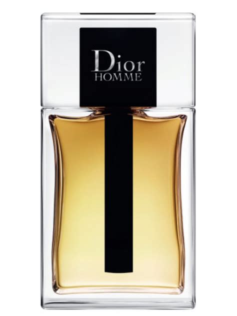 dior pour homme eau de toilette|dior homme edt 2020.